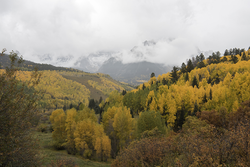 Cimarron Ridge, Ridgway, Colorado