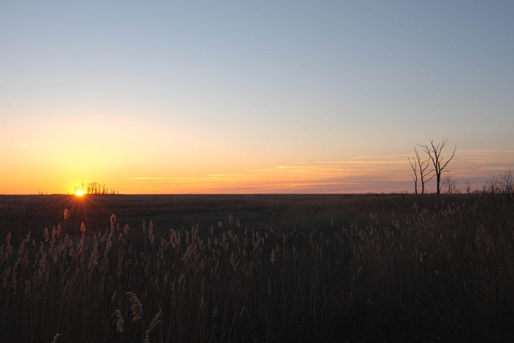 Bombay Hook Sunrise