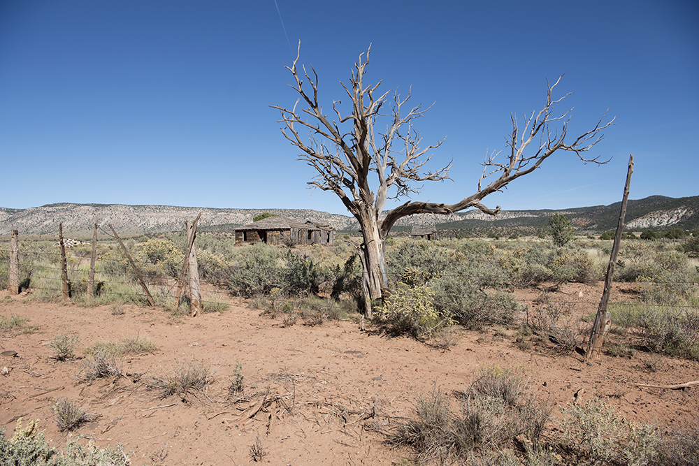 Mt. Trumbull Houses, Arizona