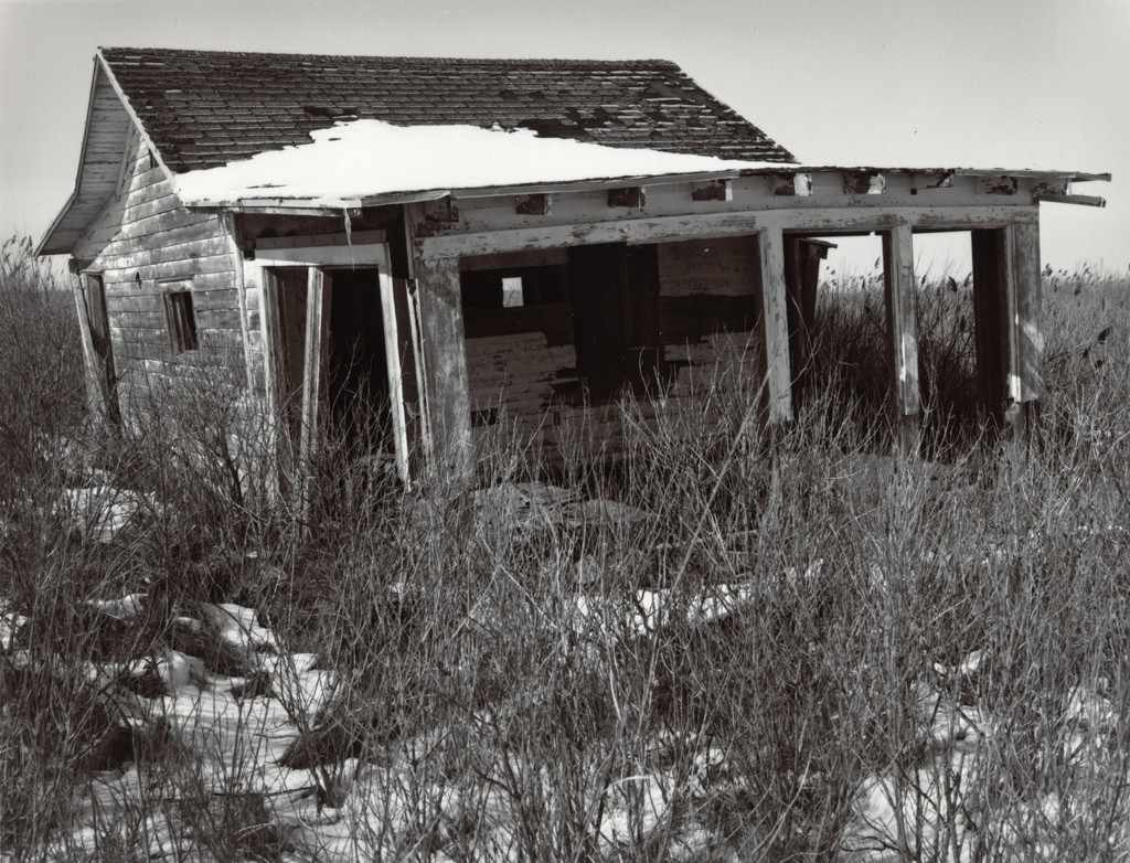 Abandoned Home, South Jersey