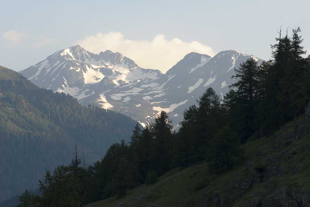 Alps Above Susch, Switzerland