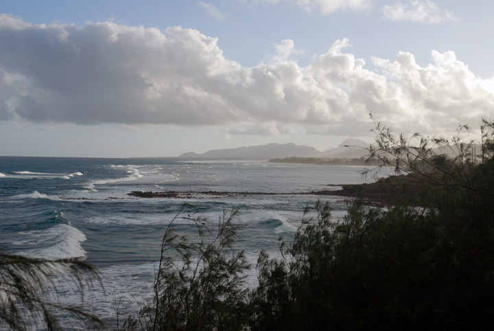 Coast of Kaua'i near Kapa'a