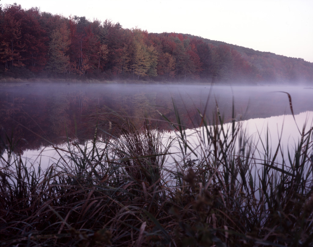 Deer Pond Misty Fall Morning