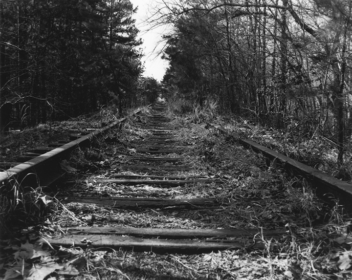 Grassy Tracks