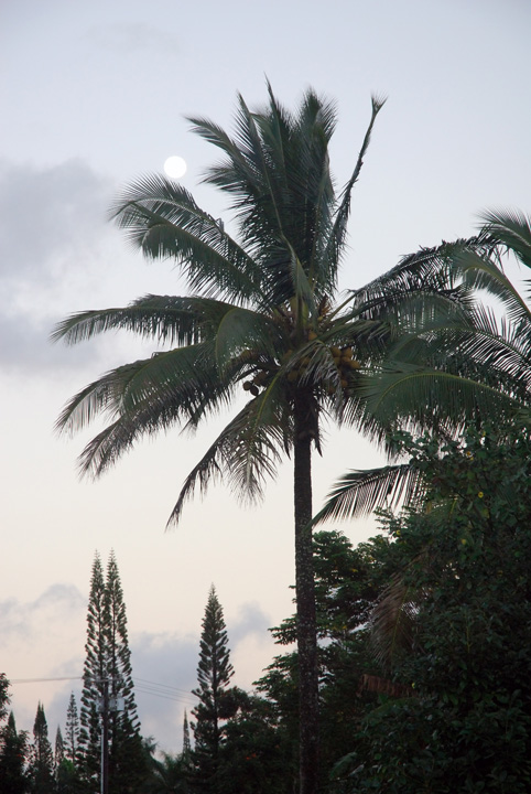 Moonrise, Princeville, Kaua'i