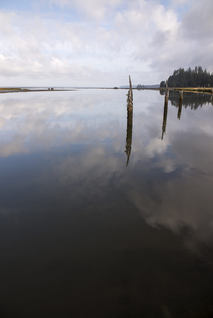 OldPilings, Willapa, Washington