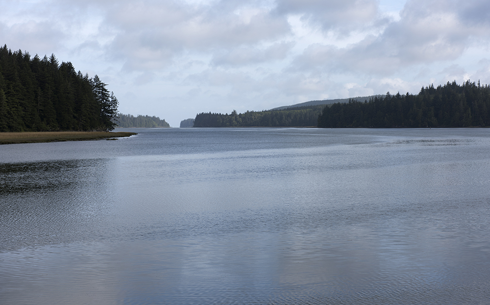 Receding Channel, Willapa, Washington