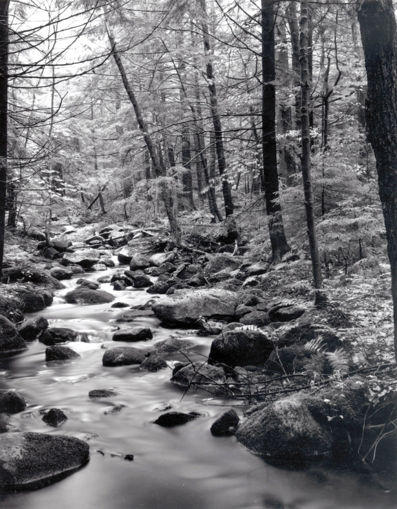 Passing Time at Robinson Brook