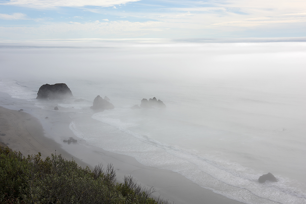 Afternoon Fog, DeHaven, California