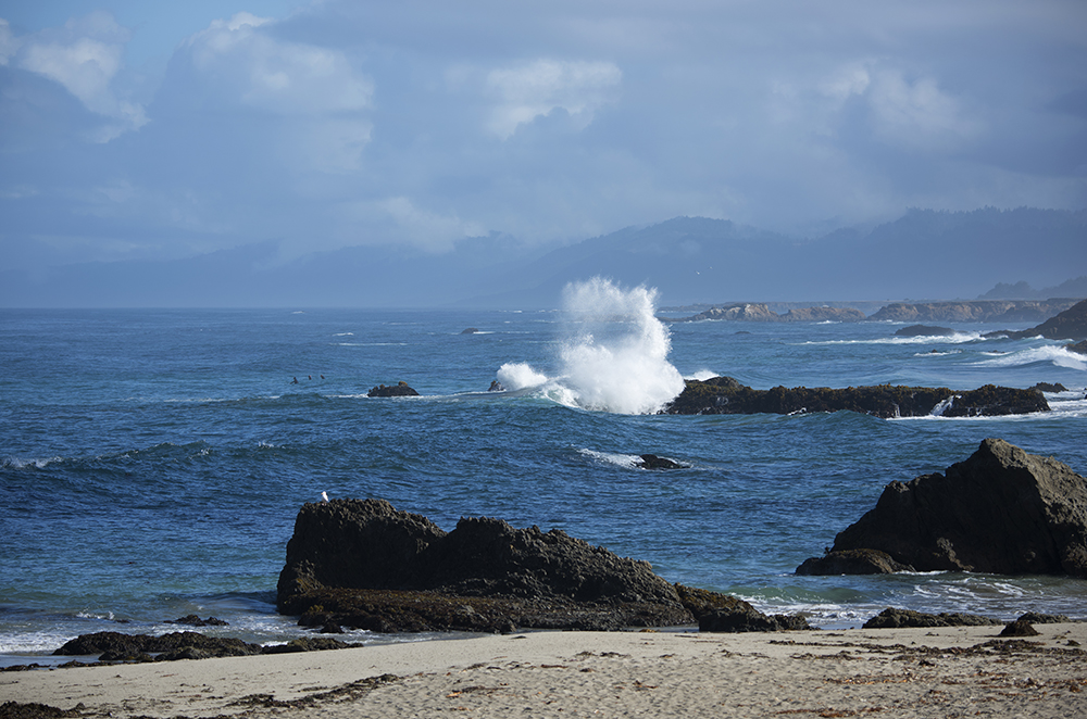 Surfers and Flying Wave, Fort Bragg, California