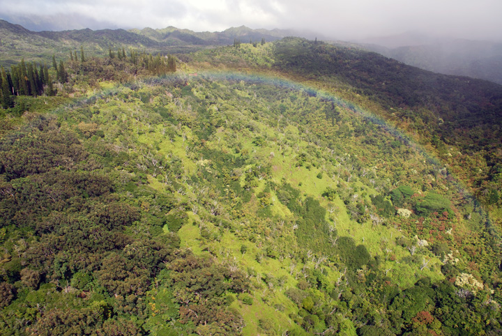 Rainbow below Helicopter, Kaua'i