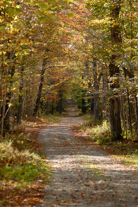 King Street, Washington, New Hampshire