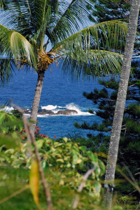 Waves in Hana, Maui