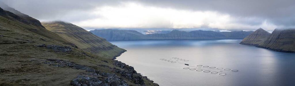 Hvithamar Fjord and Salmon Farm