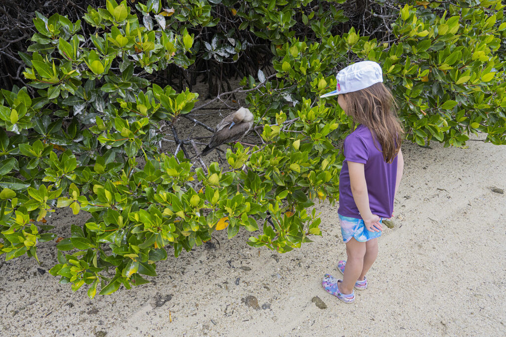 Maddy and Red-footed Booby