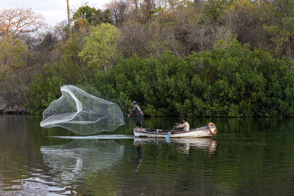 Cast Netting