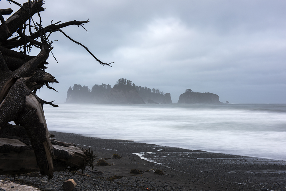 Forbidding Sea Stacks, Olympic National Park, Washington