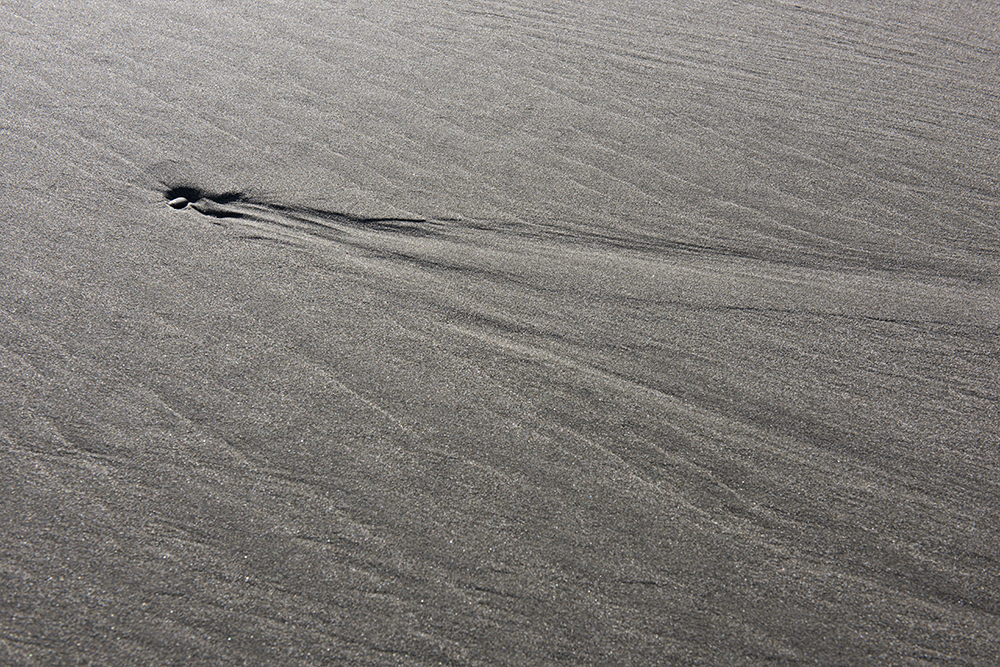 Pebble on Sand, Second Beach, Olympic National Park, Washington