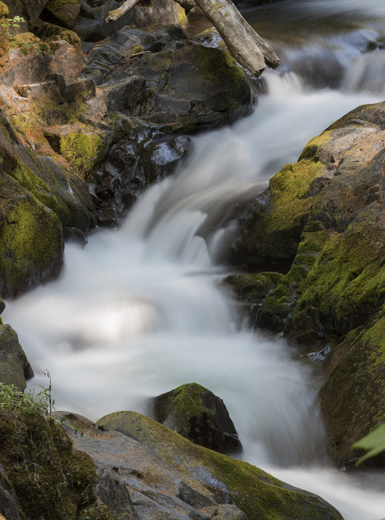 Sol Duc Stream, Olympic National Park, Washington