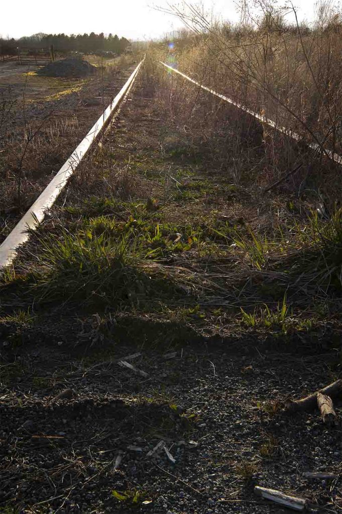 Tracks at Sunset 