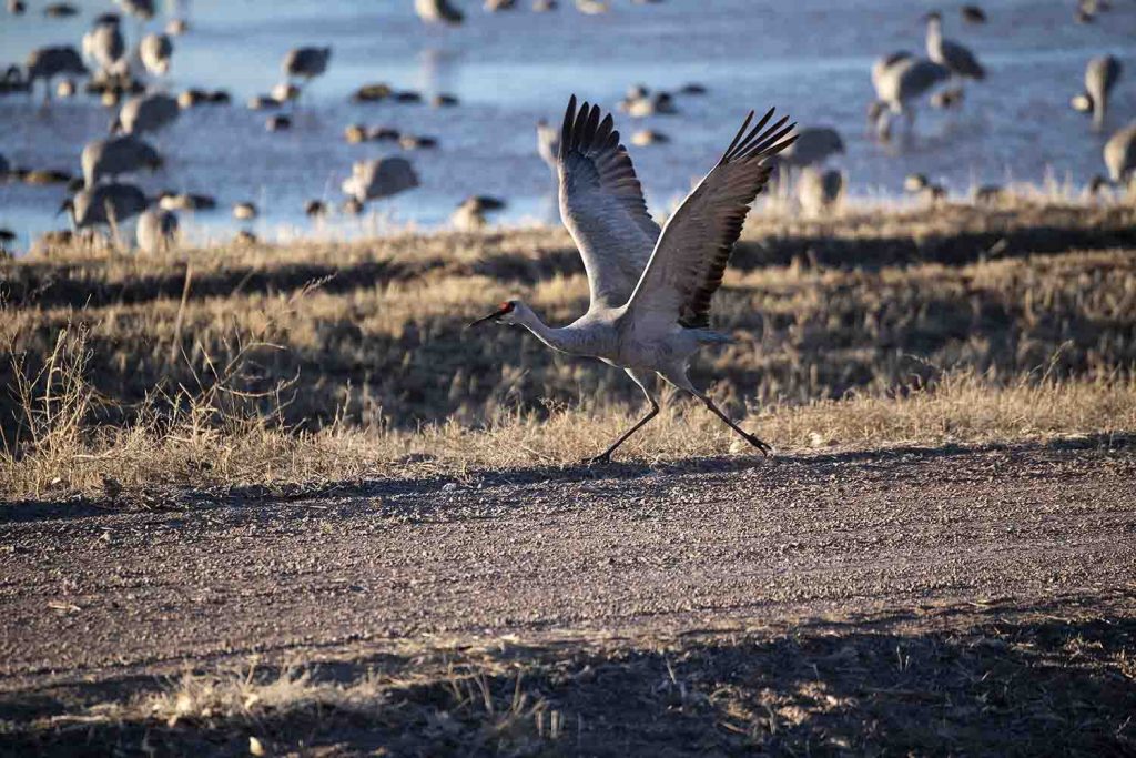 Running For Takeoff