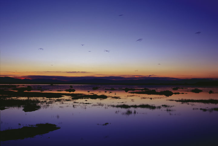 Mono Lake Sunrise